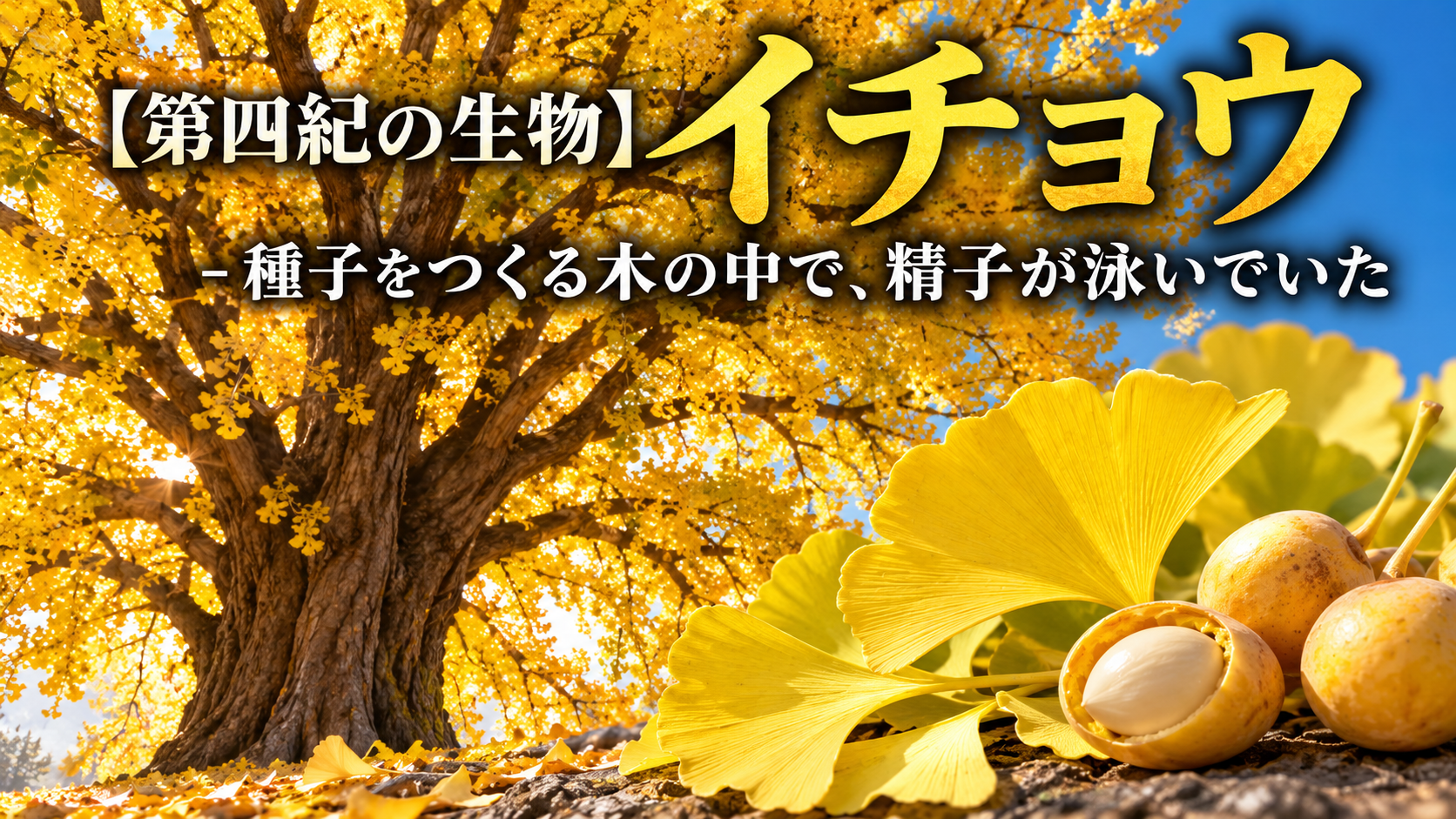 【第四紀の生物】イチョウ - 種子をつくる木の中で、精子が泳いでいた